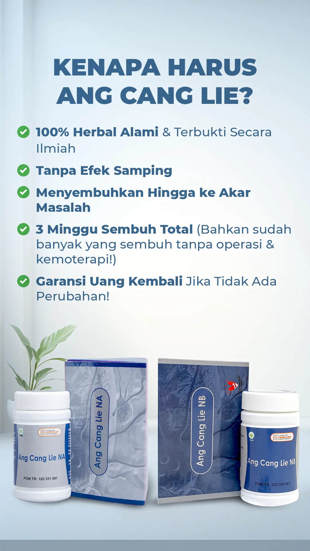 Sertifikat halal dan Bpom angcanglie